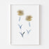 White Carnations Art Print